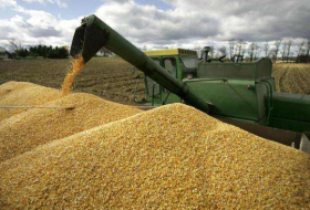   Aserbaidschan beschränkt den Export von Getreide  
