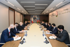   Aserbaidschanischer Außenminister und amtierender OSZE-Vorsitzender treffen sich in Baku  