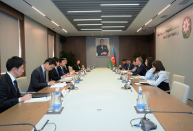   Aserbaidschan und Japan erörtern Perspektiven für eine Energiekooperation und interparlamentarische Beziehungen  