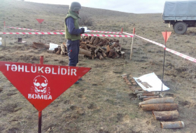   Aserbaidschan neutralisiert 132 Landminen in Karabach  