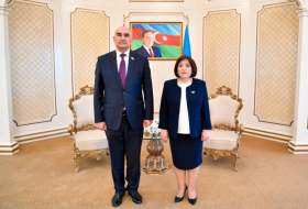   Vorsitzende des aserbaidschanischen Parlaments trifft ihren tadschikischen Amtskollegen  