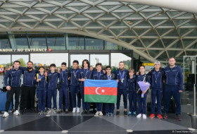   Aserbaidschanische Turner kehren mit EM-Medaillen aus Italien nach Hause zurück  