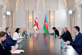   Präsident Aliyev trifft sich mit seiner georgischen Amtskollegin   