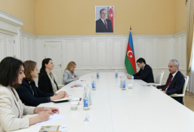   Stellvertretender Ministerpräsident trifft sich mit neuer Leiterin der IKRK-Delegation in Aserbaidschan  