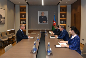   Aserbaidschan und Deutschland erörtern Perspektiven der Beziehungen  