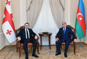   Ministerpräsidenten Aserbaidschans und Georgiens führen Telefongespräch  