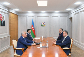   Aserbaidschan und Georgien erörtern die Aussichten einer Genossenschaft im Bereich Energie und Investitionen  