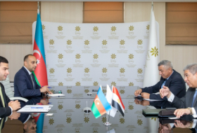   Aserbaidschan und Ägypten diskutieren die Umsetzung gemeinsamer Projekte  