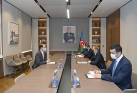   Aserbaidschanischer Außenminister empfängt den schwedischen Botschafter  