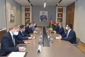   Aserbaidschanischer Außenminister und Toivo Klaar erörterten die Normalisierung der Beziehungen in Aserbaidschan  