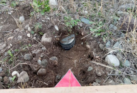     ANAMA:   Die meisten Minen mit Plastikkörpern befinden sich in den befreiten Gebieten - FOTO  