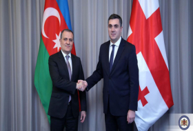   Georgischer Außenminister:  Unsere gemeinsamen Bemühungen um Frieden in der Region werden Früchte tragen 