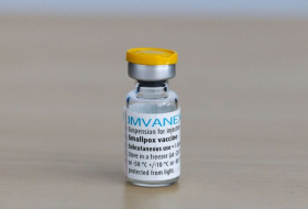   Impfstoff „Imvanex“ gegen Affenpocken ist zugelassen  