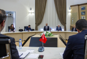   Aserbaidschan und Türkei diskutieren Energiekooperation  