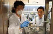  Forscher gewinnen aus Styropor teure Chemikalie  