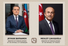   Cavusoglu verurteilte den Angriff auf die aserbaidschanische Botschaft in London  