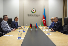   Aserbaidschan hat deutsche Unternehmen eingeladen, sich an Erneuerbare-Energien-Projekten zu beteiligen  