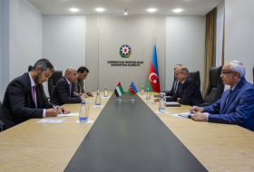   Aserbaidschan und die Vereinigten Arabischen Emirate diskutieren über die Zusammenarbeit im Energiebereich  