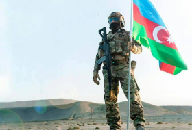     Aserbaidschanischer Abgeordneter schlägt eine Änderung des Gesetzes zum Märtyrerstatus vor    