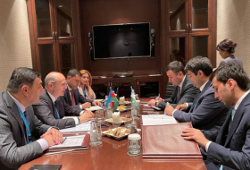   Aserbaidschan und Usbekistan erörterten den Fahrplan für die Zusammenarbeit im Energiebereich  