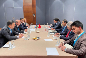   Aserbaidschan und die Türkei können die Zusammenarbeit beim Energieexport und -transit vertiefen  