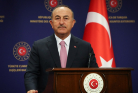   „Aus der Türkei wird eine Initiative erwartet, aserbaidschanisches Gas in die Welt zu exportieren“   - Cavusoglu    