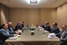  In Genf beginnt das Treffen der Außenminister von Aserbaidschan und Armenien 