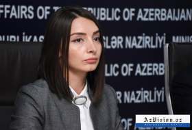   Leyla Abdullayeva:  Aserbaidschan nimmt seine internationalen Verpflichtungen ernst 