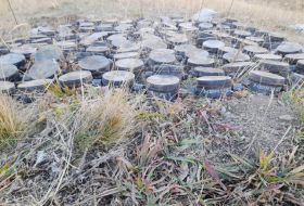  230 von armenischen Saboteuren in Kalbadschar und Daschkasan gelegte Minen wurden neutralisiert - FOTO