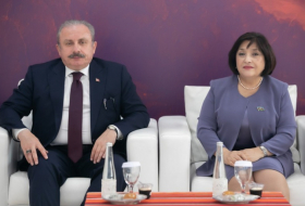  Parlamentspräsidenten Aserbaidschans und der Türkei trafen sich - FOTOS
