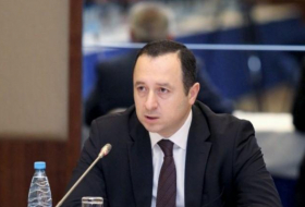   Aserbaidschan legte dem Europäischen Gerichtshof alle Materialien im Zusammenhang mit armenischen Verbrechen vor  
