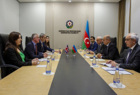   Aserbaidschan und Großbritannien erörterten die Zusammenarbeit im Energiesektor  