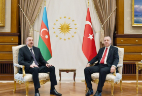   Ilham Aliyev drückte Recep Tayyip Erdogan sein Beileid aus  