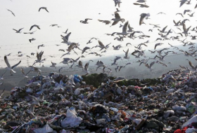   Russen sollen Gefallene auf Mülldeponie entsorgt haben  