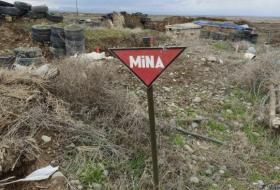   In der vergangenen Woche wurden 271 Hektar Land von Minen geräumt  