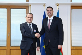   Aserbaidschanischer Außenminister hält ein Treffen mit dem maltesischen Außenminister ab  