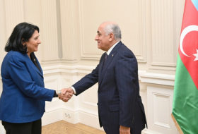   Aserbaidschanischer Premierminister trifft georgische Präsidentin  
