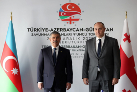   Verteidigungsminister Aserbaidschans und Georgiens trafen sich in der Türkei  
