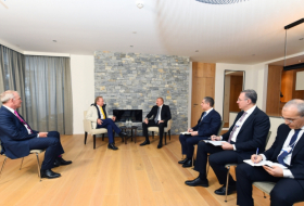   Präsident Ilham Aliyev trifft sich mit dem Vorstandsvorsitzender von „Fortescue Future Industries“ in Davos  