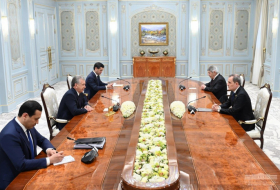   Usbekischer Präsident informierte während seines ECO-Vorsitzes über die Pläne Aserbaidschans  