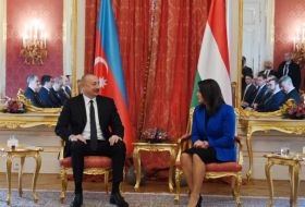   Präsidenten von Aserbaidschan und Präsidentin von Ungarn hatten ein breit angelegtes Treffen   - FOTOS    