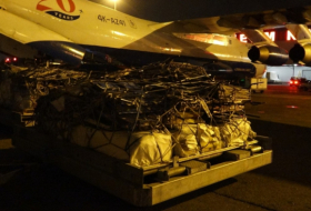   Ein weiteres Flugzeug mit humanitärer Hilfe aus Aserbaidschan fliegt in die Türkei  