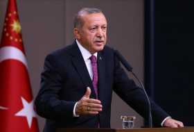   Erdogan lernte die Such- und Rettungsarbeit aserbaidschanischer Retter in Kahramanmaras kennen  