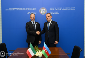   Treffen der Außenminister von Aserbaidschan und Kuwait   -FOTOS    