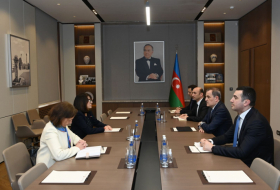   Aserbaidschanischer Außenminister trifft sich mit Mitglied des französischen Senats  