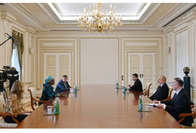   Präsident Aliyev empfängt Exekutivdirektorin des Gemeinsamen Programms der Vereinten Nationen zu HIV/AIDS  