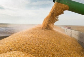 Weizenimport Aserbaidschans aus Kasachstan hat sich mehr als verdoppelt 