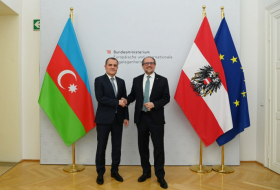   Aserbaidschan und Österreich erwägen Kooperationsagenda  