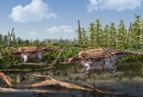   Londoner Forscher beschreiben neue gepanzerte Dinoart  
