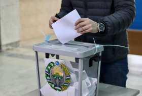     Usbekistan:   Was die vorgezogenen Wahlen versprechen –   ANALYSE    